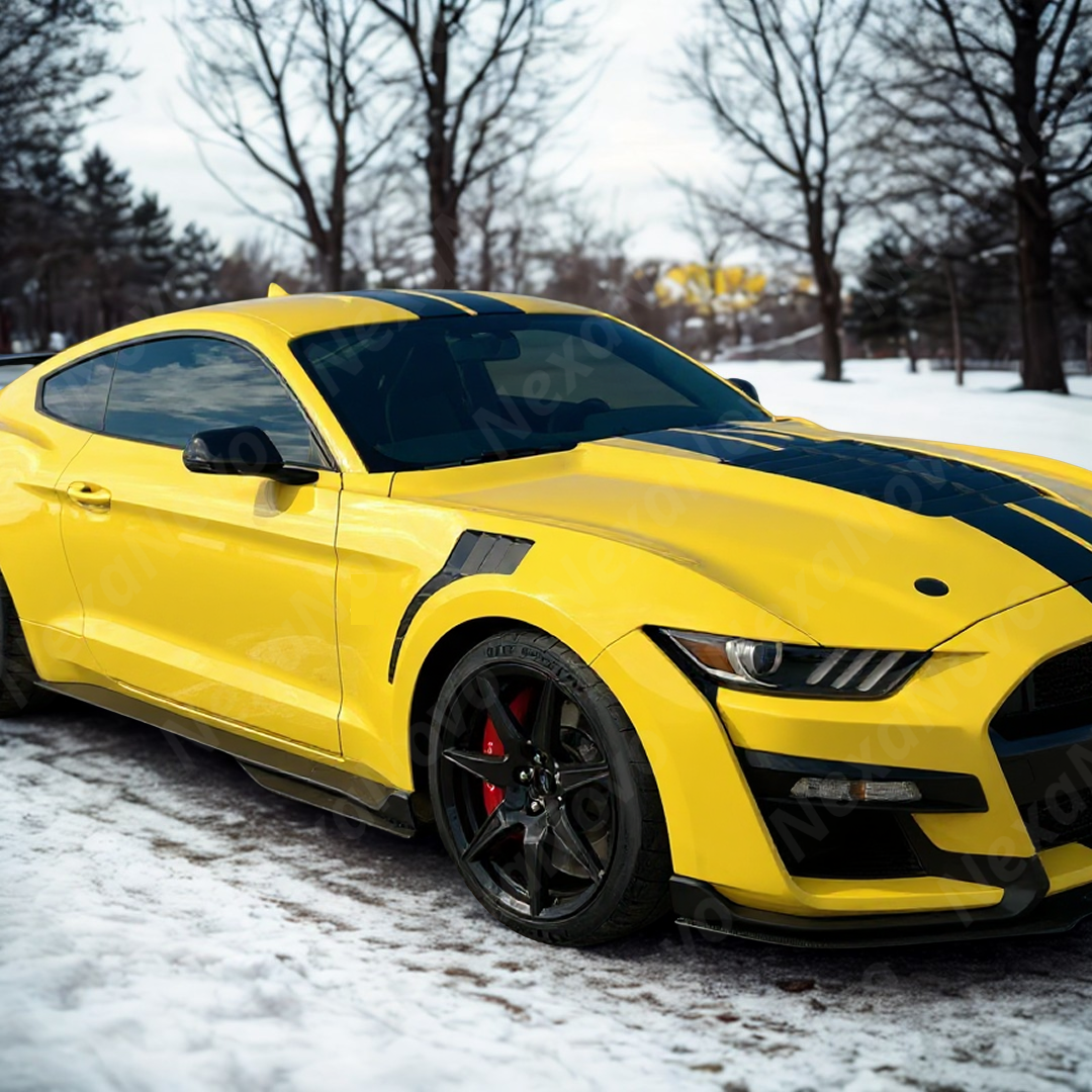 Driver side NaxaNovo GT500 fender