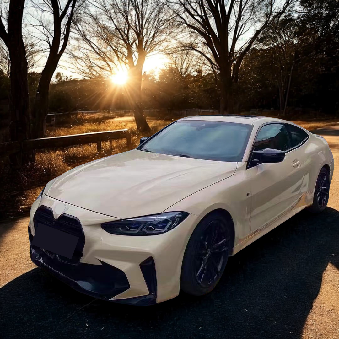 2013 BMW 3 Series F30 PU bumper with fog cover mesh grille NexaNovo