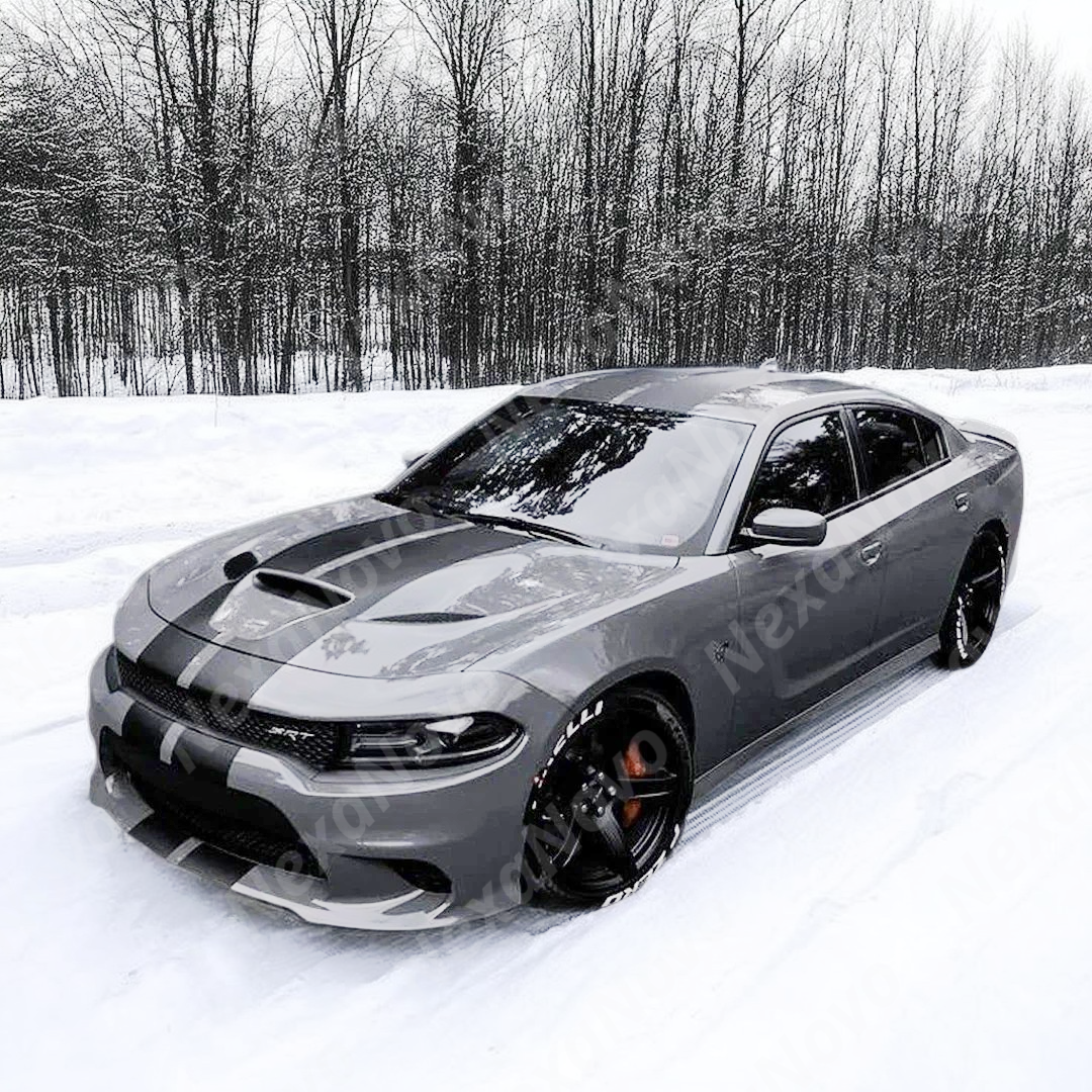 Dodge Charger on street with a NexaNovo hood cover