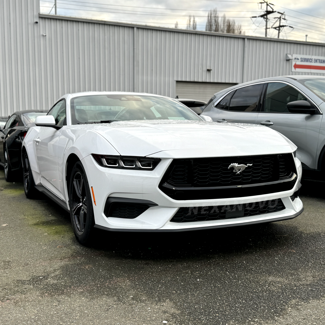 NexaNovo Gloss Black Front Grille for S650 Ford Mustang EcoBoost (2024+)