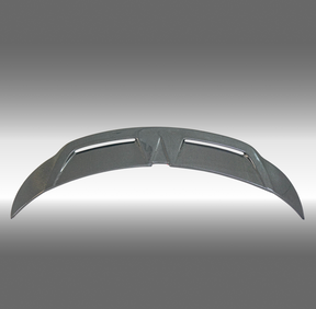2023 Tesla Model Y carbon trunk wing NexaNovo

