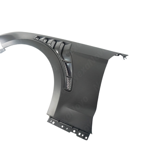 Aftermarket NaxaNovo Mustang fender

